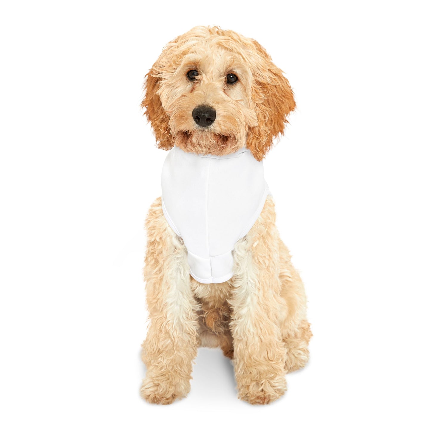 PERSONALIZED PET HOODIE SHIRT IN THOUGHT BUBBLE CUSTOMIZED GRAPHIC UNISEX DOG PULLOVER HOODIE FOR DOGS SHIRTS CUSTOM GIFTS FOR PETS HOODIE FOR PUPPIES DOG CLOTHING