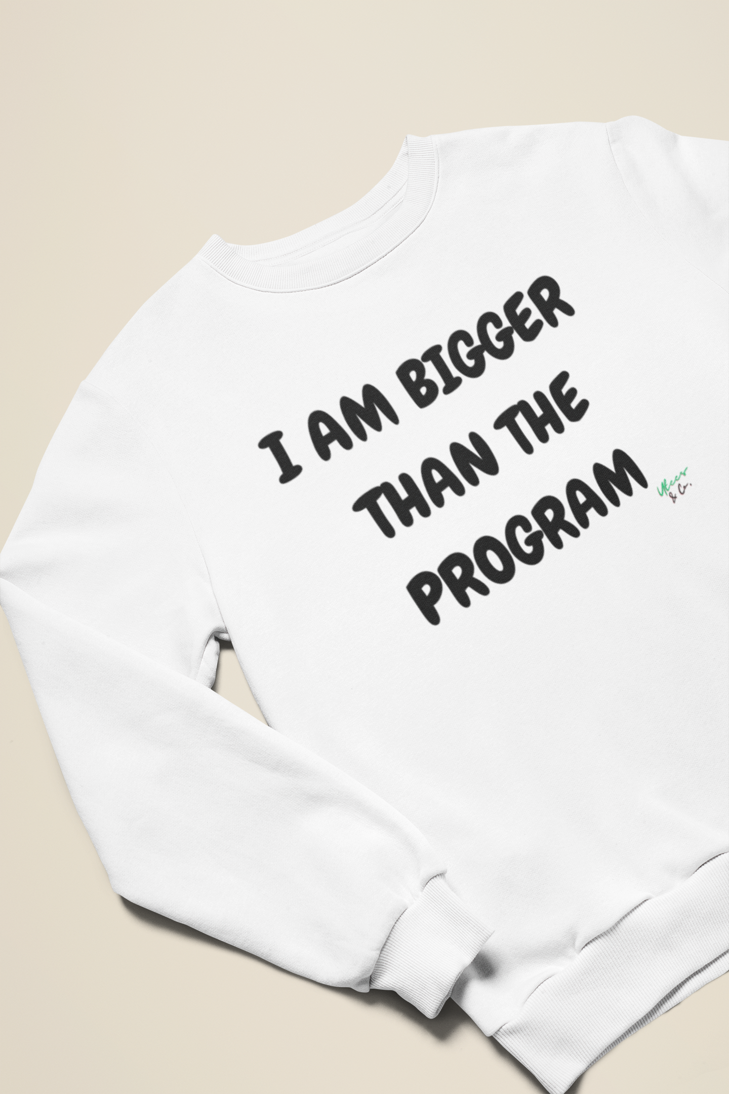 I AM BIGGER THAN THE PROGRAM SWEATSHIRT IN TEXT ONLY GRAPHIC UNISEX CREWNECK PULLOVER SWEATSHIRT FUNNY SAYINGS SWEATER SARCASTIC SAYINGS SWEATSHIRTS FOR WOMEN SWEATSHIRTS FOR MEN GIFT IDEAS