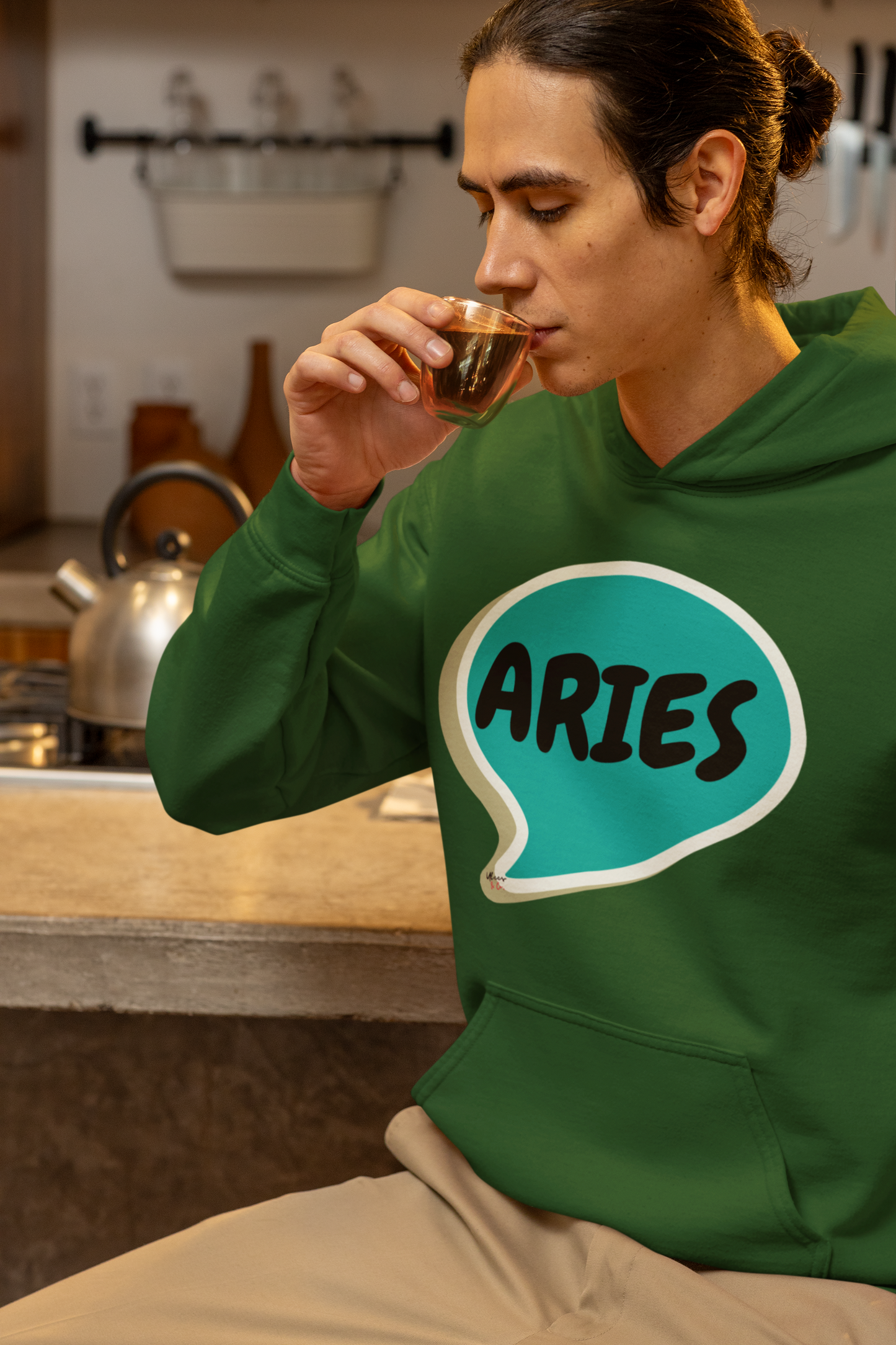 ARIES ZODIAC SIGN HOODIE IN SPEECH BUBBLE ARIES HOROSCOPE ASTRONOMY SIGN UNISEX PULLOVER HOODIE ARIES BIRTHDAY SIGN ARIES SEASON HOODIE GIFT FOR AN ARIES