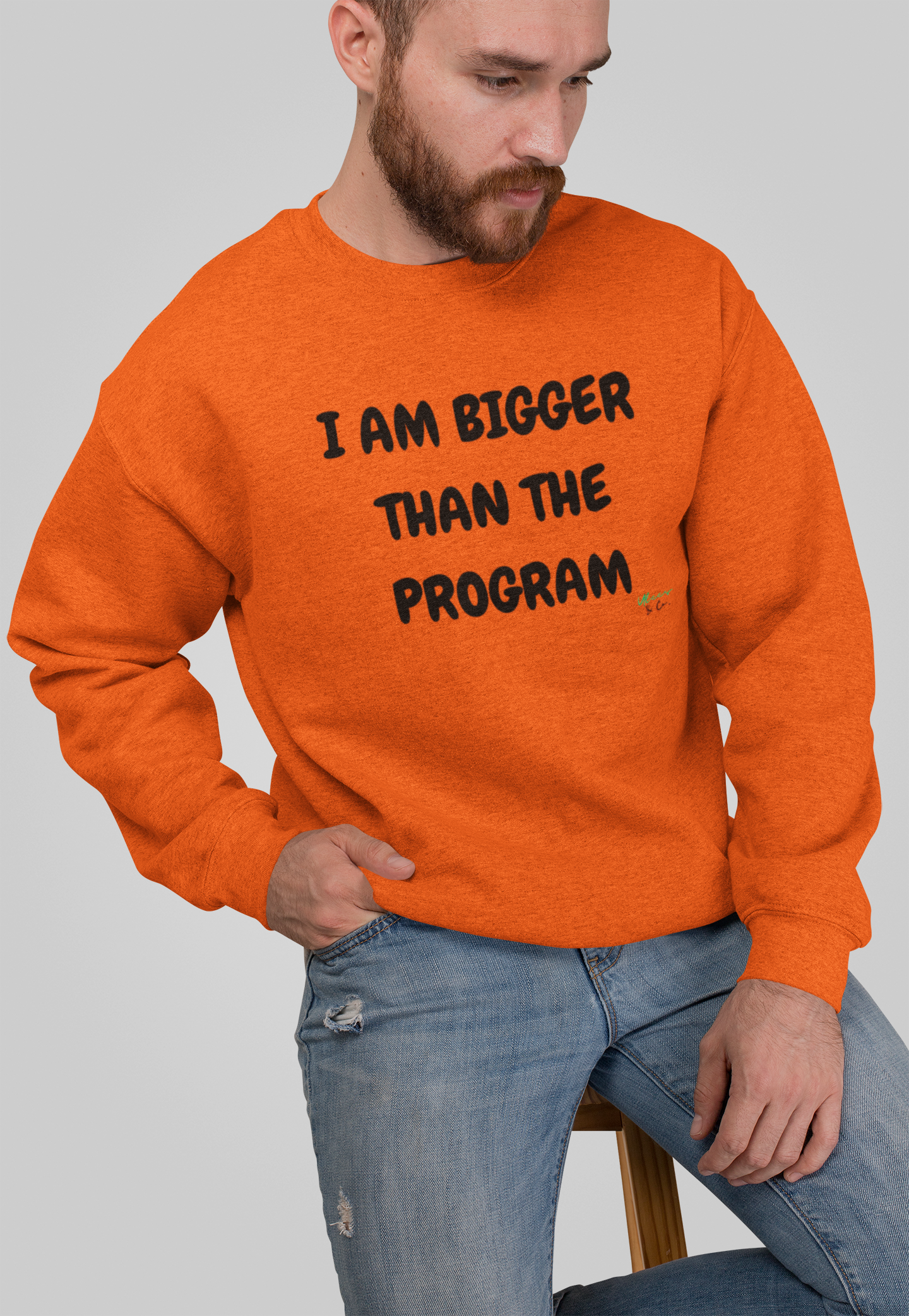 I AM BIGGER THAN THE PROGRAM SWEATSHIRT IN TEXT ONLY GRAPHIC UNISEX CREWNECK PULLOVER SWEATSHIRT FUNNY SAYINGS SWEATER SARCASTIC SAYINGS SWEATSHIRTS FOR WOMEN SWEATSHIRTS FOR MEN GIFT IDEAS