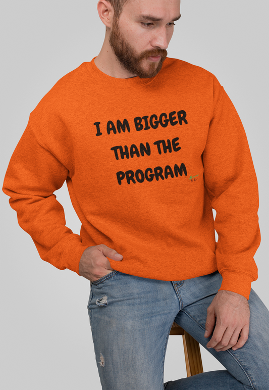 I AM BIGGER THAN THE PROGRAM SWEATSHIRT IN TEXT ONLY GRAPHIC UNISEX CREWNECK PULLOVER SWEATSHIRT FUNNY SAYINGS SWEATER SARCASTIC SAYINGS SWEATSHIRTS FOR WOMEN SWEATSHIRTS FOR MEN GIFT IDEAS