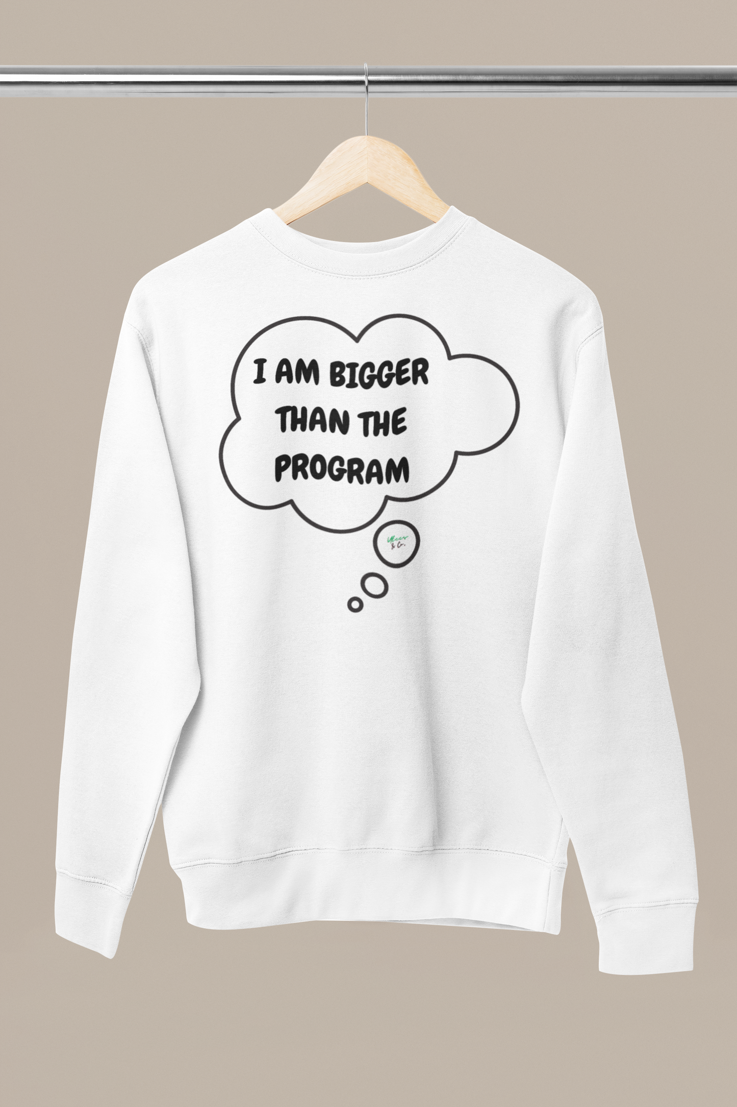 I AM BIGGER THAN THE PROGRAM SWEATSHIRT IN THOUGHT BUBBLE GRAPHIC UNISEX CREWNECK PULLOVER SWEATSHIRT FUNNY SAYINGS SWEATER SARCASTIC SAYINGS SWEATSHIRTS FOR WOMEN SWEATSHIRTS FOR MEN GIFT IDEAS