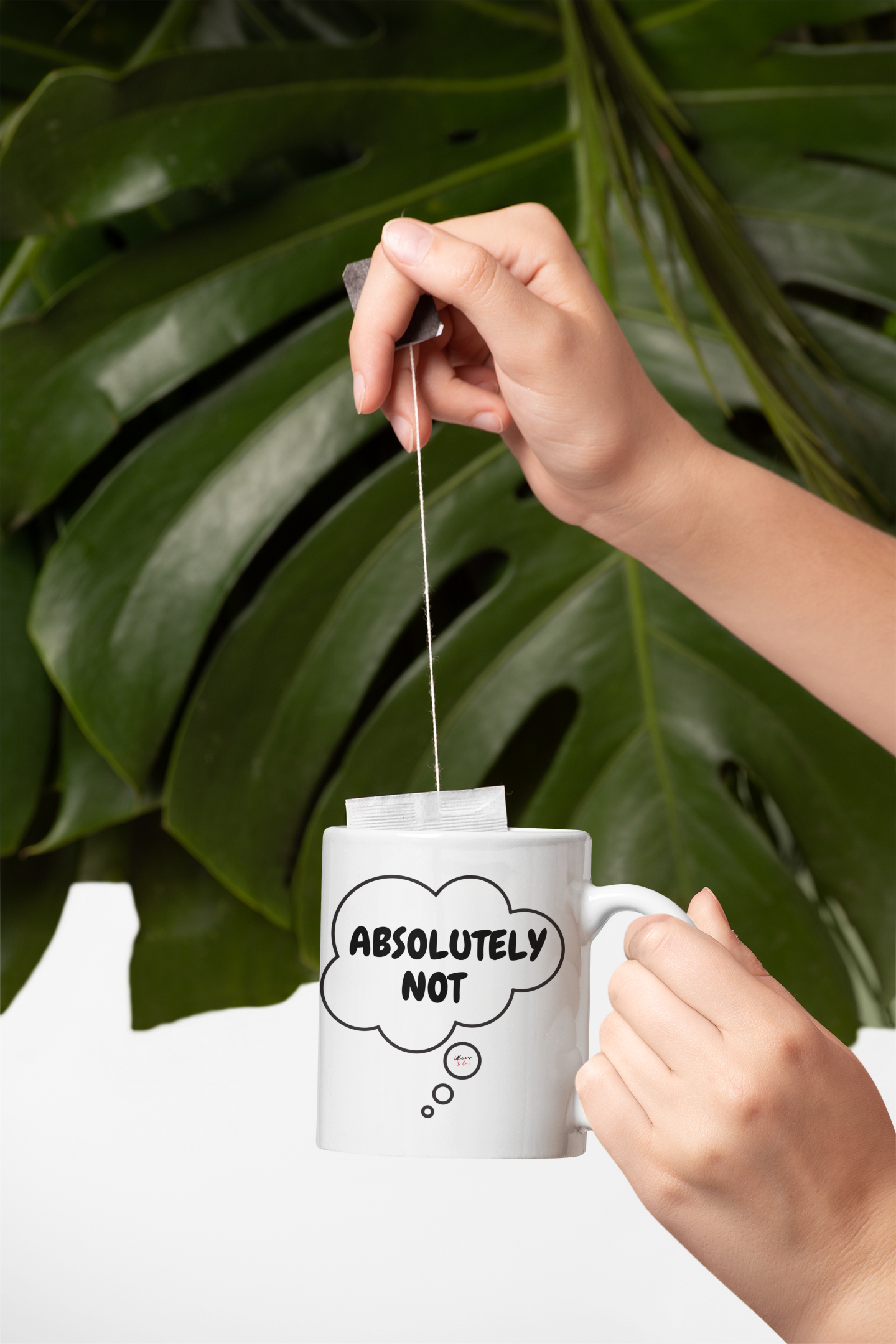 ABSOLUTELY NOT COFFEE MUG IN THOUGHT BUBBLE FOR COFFEE DRINKER GIFT FUNNY SAYINGS GIFT COFFEE GIFT MUG ABSOLUTELY NOT IN CERAMIC MUG 11oz SARCASTIC SAYINGS MUG GIFT