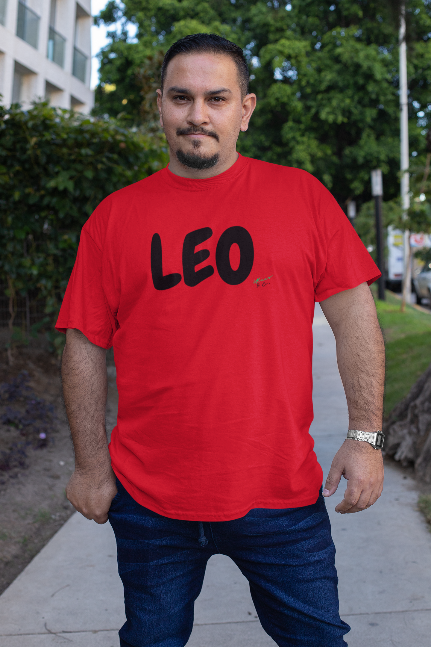 LEO ZODIAC SIGN T-SHIRT LEO HOROSCOPE ZODIAC GRAPHIC UNISEX SHIRT SIGN BIRTHDAY ZODIAC SIGN LEO ZODIAC SIGN TEES FOR WOMEN AND MEN