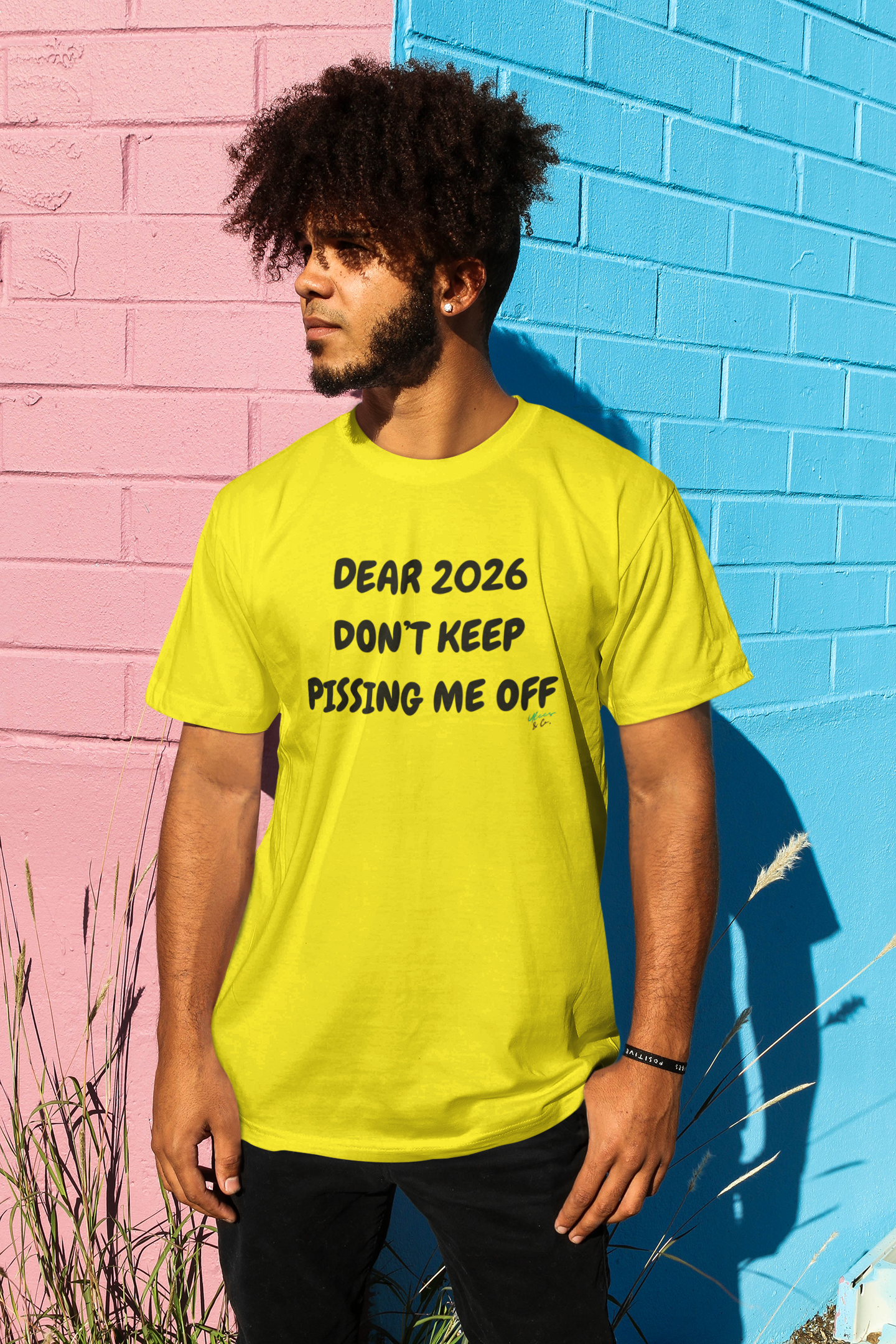 DEAR 2026 DON'T KEEP PISSING ME OFF T-SHIRT IN TEXT ONLY GRAPHIC UNISEX T-SHIRT SARCASTIC SHIRTS SARCASM TEES FUNNY TEES FOR WOMAN SHIRTS GIFTS HILARIOUS SHIRTS FOR MEN AND WOMEN