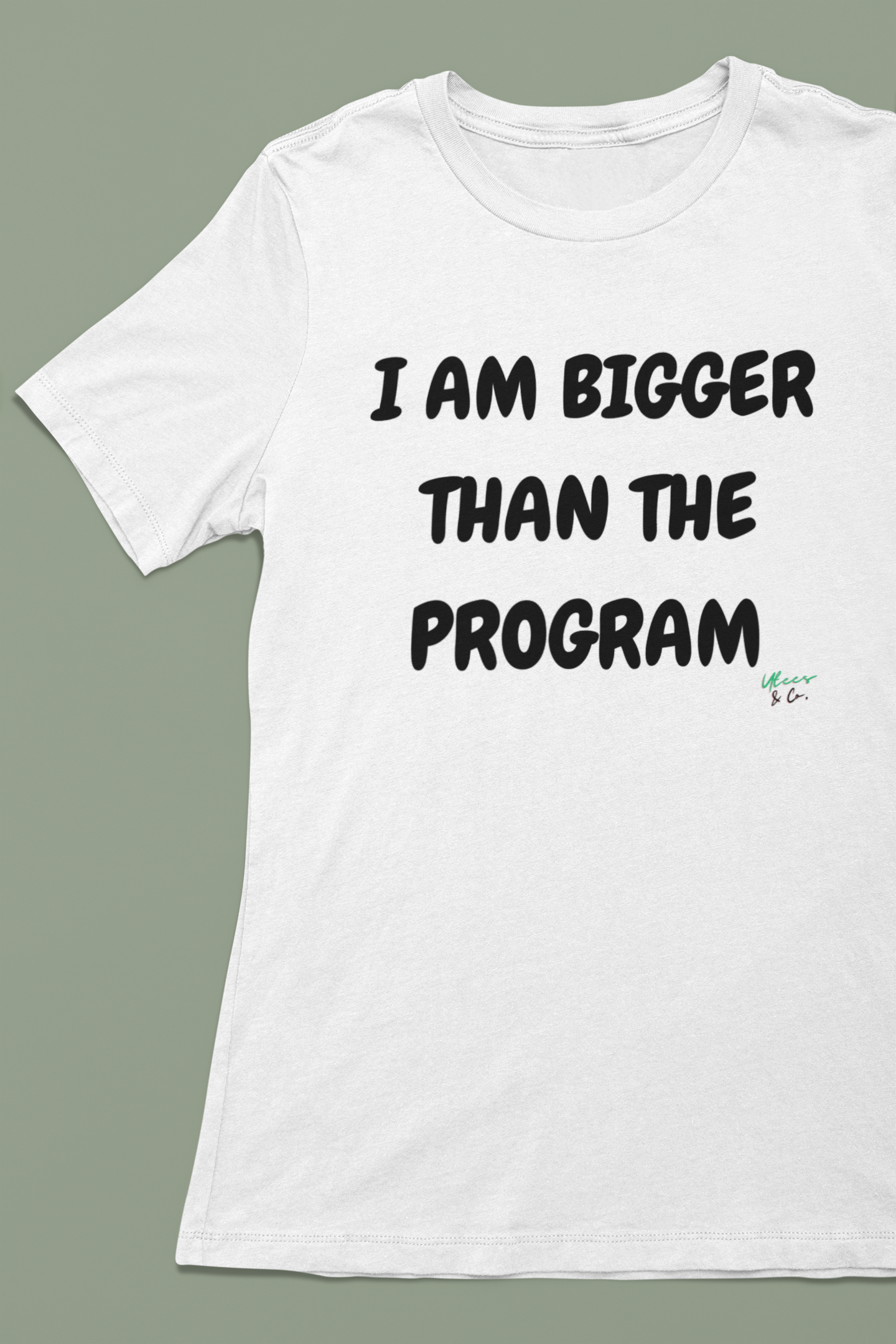 I AM BIGGER THAN THE PROGRAM T-SHIRT IN TEXT ONLY GRAPHIC UNISEX T-SHIRT SARCASTIC SHIRTS SARCASM TEES FUNNY TEES FOR WOMAN SHIRTS GIFTS HILARIOUS SHIRTS FOR MEN AND WOMEN