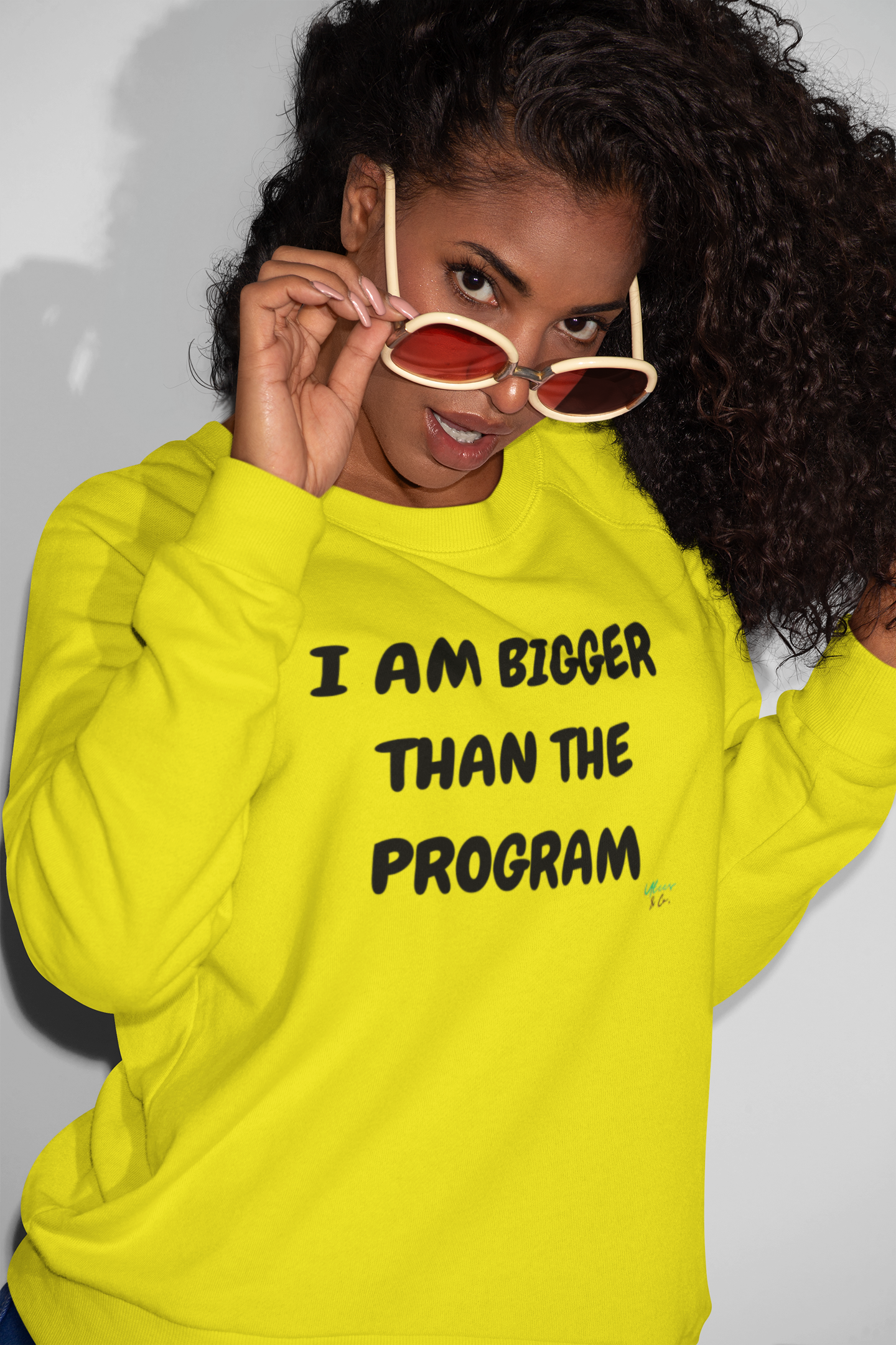 I AM BIGGER THAN THE PROGRAM SWEATSHIRT IN TEXT ONLY GRAPHIC UNISEX CREWNECK PULLOVER SWEATSHIRT FUNNY SAYINGS SWEATER SARCASTIC SAYINGS SWEATSHIRTS FOR WOMEN SWEATSHIRTS FOR MEN GIFT IDEAS