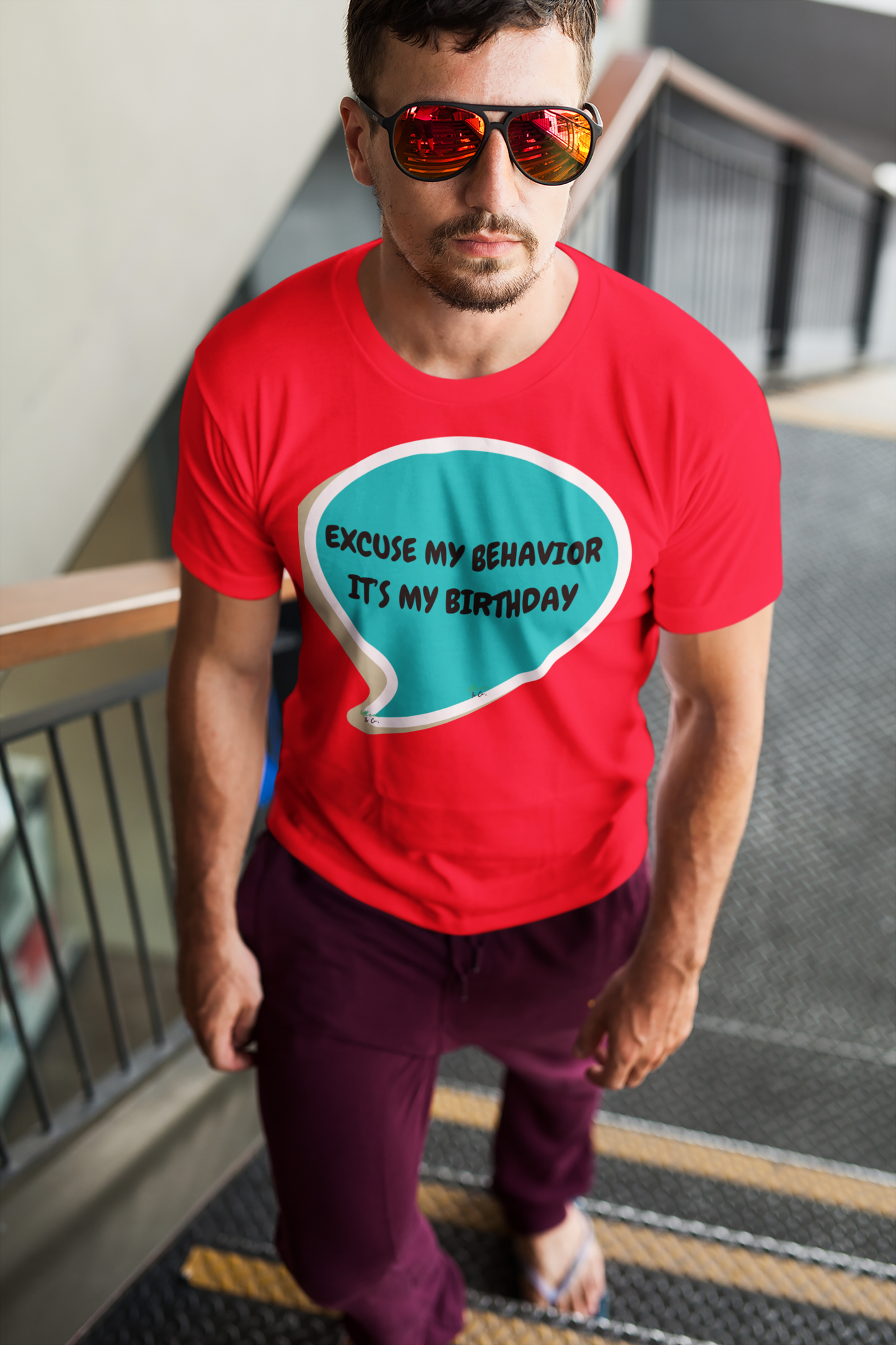 EXCUSE MY BEHAVIOR IT'S MY BIRTHDAY T-SHIRT IN SPEECH BUBBLE UNISEX T SHIRT FOR GIFT CELEBRATING YOUR OR A FRIEND'S BIRTHDAY FOR MEN AND WOMEN